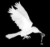 Free science fiction and fantasy ebooks, free ebook technical manuals, free how-to ebooks, free novels in e-book format, and free PDFs. Free science fiction and fantasy ebooks, free ebook technical manuals, free how-to ebooks, free novels in e-book format, and free PDFs.
