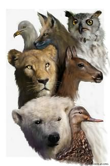 Graphic artwork by book illustrator and author Duncan Long.
