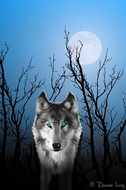 Wolf Night - book cover artwork by freelance coverjillustrator and outsider artist Duncan Long. Wolf Night - book cover artwork by freelance coverjillustrator and outsider artist Duncan Long.